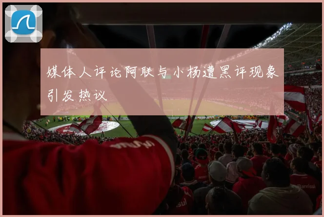 媒体人评论阿联与小杨遭黑评现象引发热议