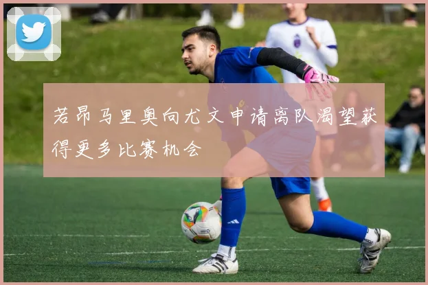 若昂马里奥向尤文申请离队渴望获得更多比赛机会