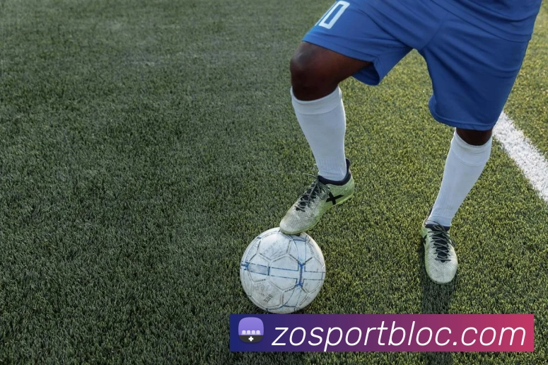 中欧足球官网平台生态图